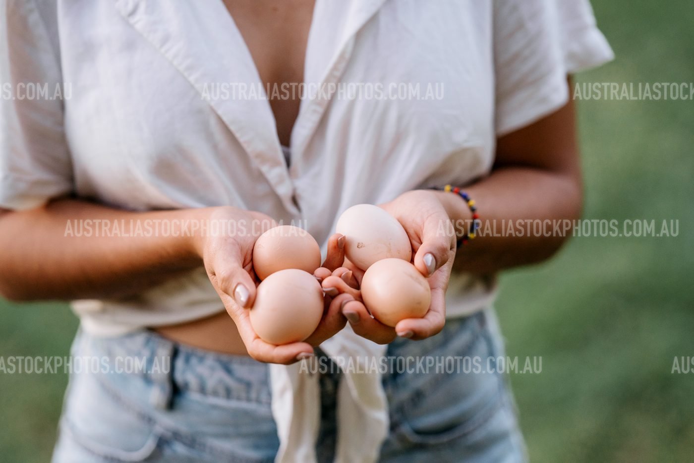 fresh-eggs-farming